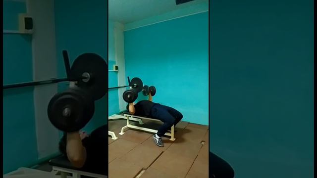 Моя жимовая тренировка смотреть онлайн