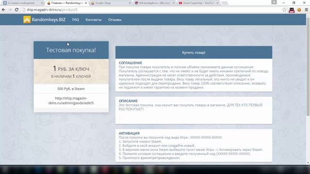 Новый скрипт интернет магазин аккаунтов Randomkeys.biz смотреть онлайн