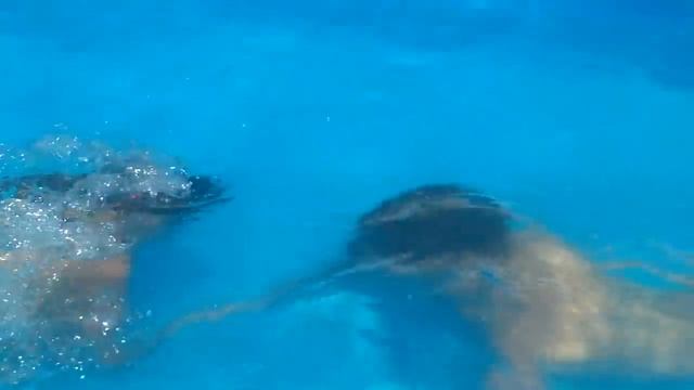 Desafio da piscina edwin смотреть онлайн