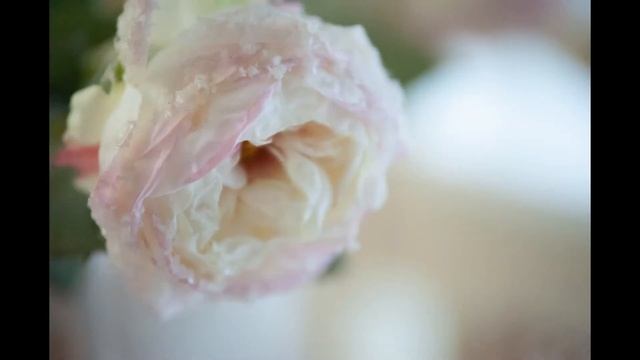 АРТРОЗ, РЕВМАТОИДНЫЙ АРТРИТ, что делать