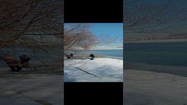 лед тронулся смотреть онлайн