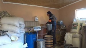 ГЛАВНОЕ СТАРТОНУТЬ, чем кормлю поросят ,домашний бизнес, корм ,откорм ,стартовый