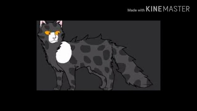 Клип коты воители/я подарю тебе небе смотреть онлайн