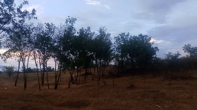 27 июля 2024 г..mp4 смотреть онлайн