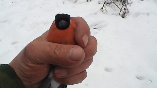 Ловля Серого снегиря. Красного снегиря. Щегла. смотреть онлайн