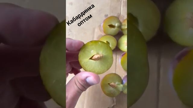 слива оптом Кабардинка