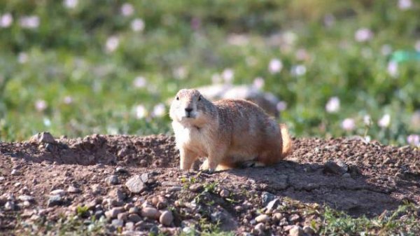 JACI VELASQUEZ -- I WILL REST IN YOU -- WILLIAM LOCKMILLER PHOTOGRAPHY