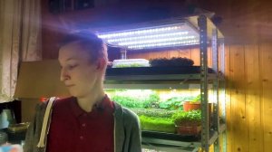 Нужна ли перекись водорода для микрозелени? Бизнес микрозелень! Избавляемся от плесени микрозелени!