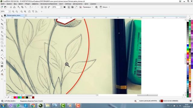ЦВЕТЫ. РИСУНОК В ВЕКТОРЕ. ПРОГРАММА КОРЕЛ. Corel DRAW смотреть онлайн