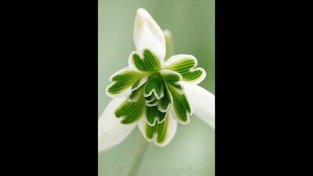 Meditation Music - The Divine Mother's Voice - Sunil da Music смотреть онлайн
