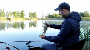 ЛОВЛЯ КАРПА! РЫБАЛКА 2022. Как ловить на ФИДЕР МНОГО КАРПА!