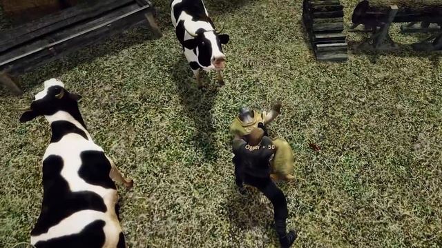 13 ДЕТАЛЕЙ которые вы могли пропустить в ГОТИКЕ 3 смотреть онлайн