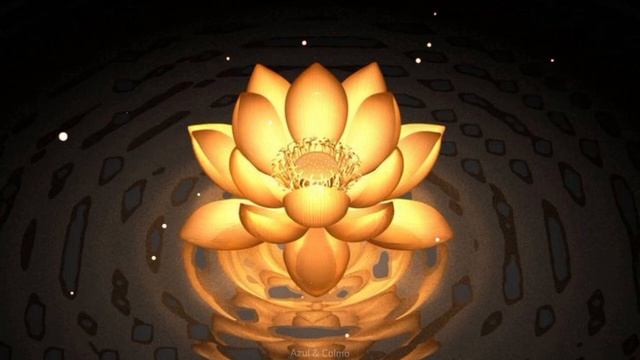 FLOR DE LÓTUS - PODEROSA MEDITAÇÃO MILENAR, PURA ENERGIA POSITIVA, EVOLUÇÃO MENTAL E ESPIRITUAL смотреть онлайн