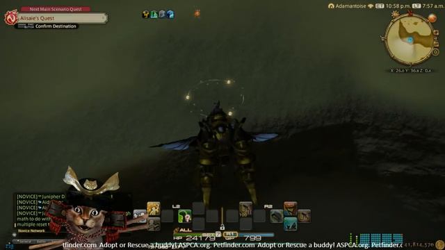 How to Catch Desert Catfish FFXIV FSH lvl 35 Job Quest A Fish out of Water смотреть онлайн