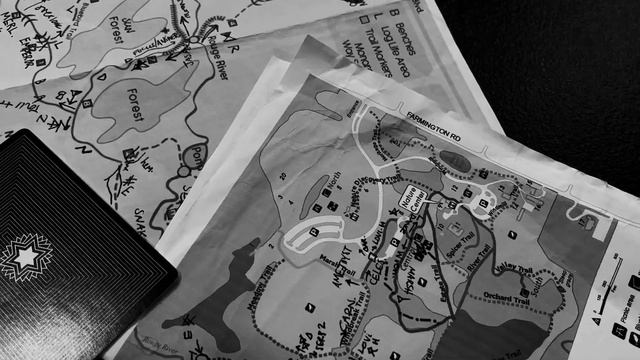 new moon, new adventures, new oracle deck смотреть онлайн