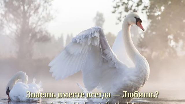 قصيدة روسية بعنوان سأغرق في عينيك ، هل يمكنني ذلك؟ Я в глазах твоих утону, можно смотреть онлайн