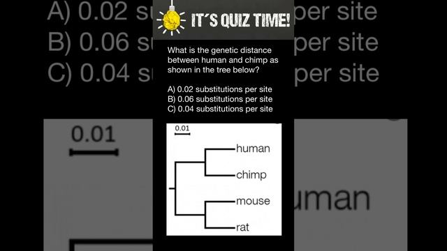 How to understand phylogenetic trees? смотреть онлайн