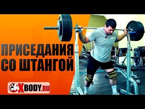 Пауэрлифтинг. Приседания со штангой как правильно приседать? Техника смотреть онлайн