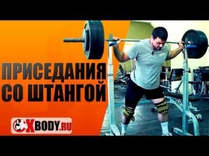 Пауэрлифтинг. Приседания со штангой как правильно приседать? Техника