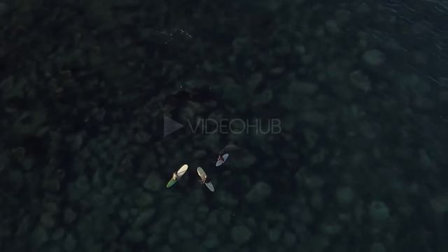 Dwin - LaLaLaLaLa (Palanga Beach Edit) (VideoHUB)