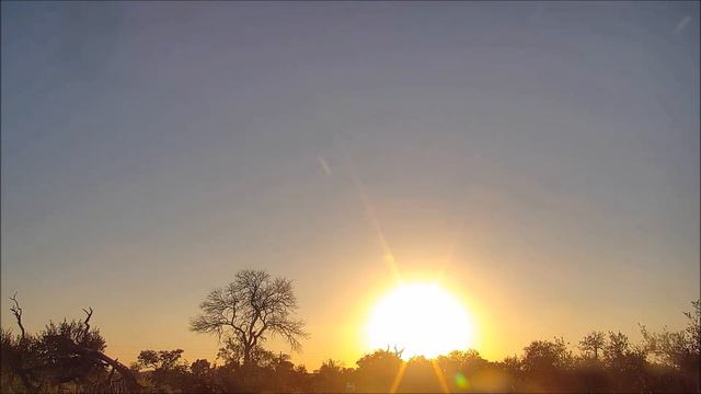 Africam - Cat Eye. Sunrise - Африка. Рассвет