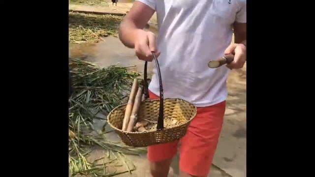 Вьетнам.Нячанг.Vinpearl.Далат.Crazy House. Эко-парк Dolce Vita.2018