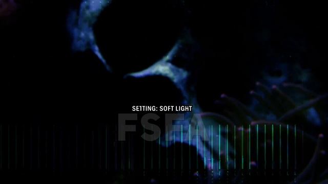 Dark Grid Glitch - Space - Digital Overlay & Background Error Effect Loop смотреть онлайн