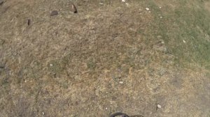 Как настроить металлоискстель. АР 944 м.