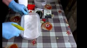Как ускорить прорастание семян перца и баклажанов.Часть 1