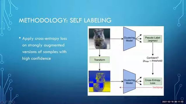 SCAN: Learning to Classify Images without Labels смотреть онлайн