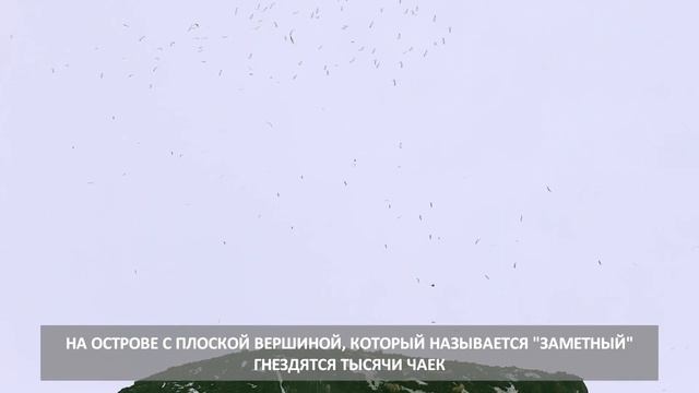 Бухта Тихая на Сахалине зимой - необычные виды достопримечательности острова смотреть онлайн
