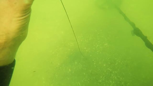 ?? Found in the Sea - Screw from the Boat, Paddle, Gold, Silver, Giant Jellyfish. Scuba Diving. смотреть онлайн