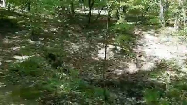 Репортаж из мест, где ощущают моменты счастья | Долина реки Жане смотреть онлайн