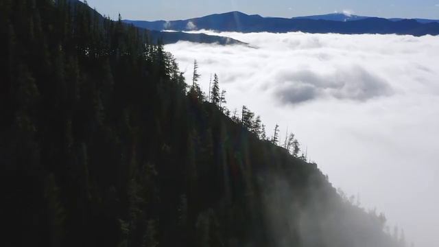 "La eficacia de las AFIRMACIONES dependen de esto" - Joseph Murphy смотреть онлайн