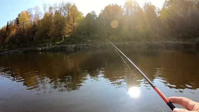 Рыбалка в Бабье лето! Чуть не утопили подсак! смотреть онлайн