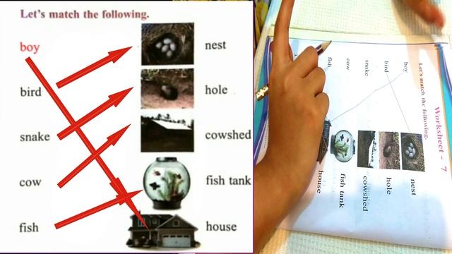 English Worksheet/Std 2/The world around us class 2/2nd standars the world around us /worksheet 7 смотреть онлайн