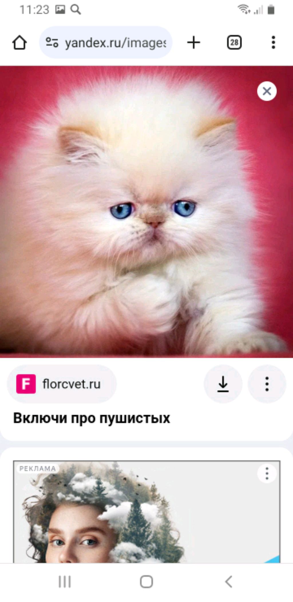 малыши карандаши 2 смотреть онлайн