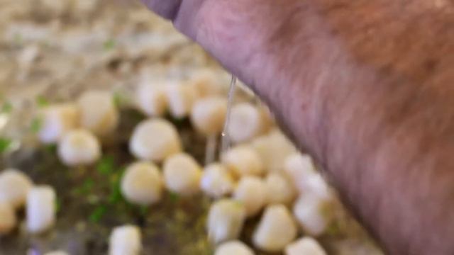 Clearwater Patagonian Scallop Ceviche смотреть онлайн