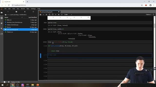 Post-Pruning from Scratch in Python p.1 смотреть онлайн