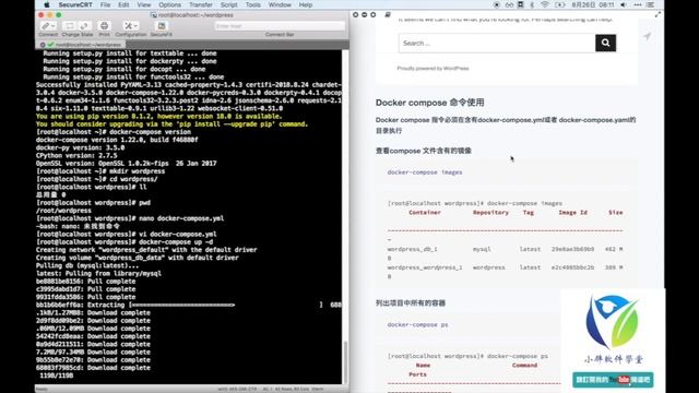 Docker 入门系列基础教程五