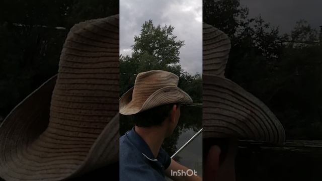 Куда то заехали не туда