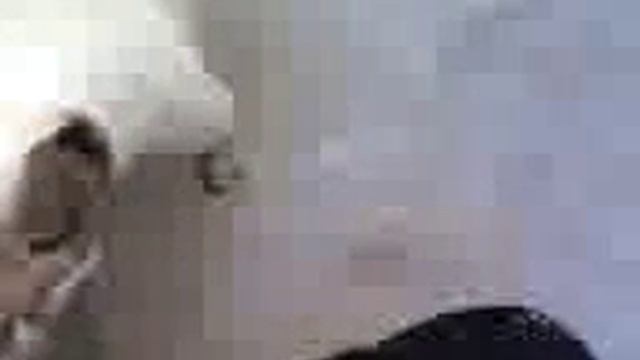 Pit Bull Attack смотреть онлайн