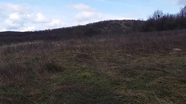 Купить земельный участок в Новороссийске, Семигорье смотреть онлайн