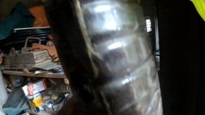 Размножение хурмы путем укоренения