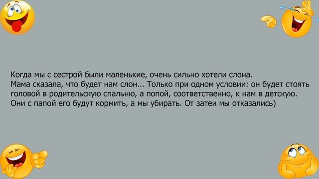 Анекдот про затею детей завести слона смотреть онлайн