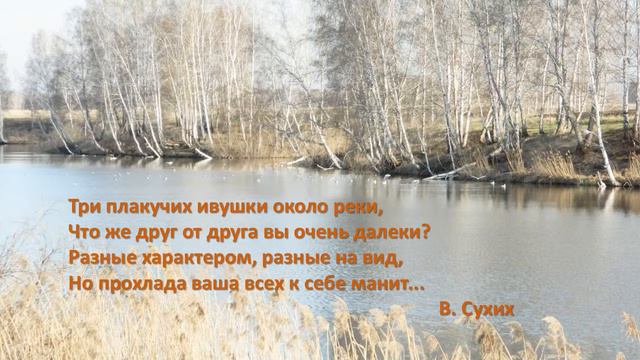 Моя речка смотреть онлайн