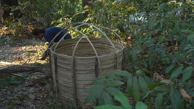 Build Bird Nest Home Shelter, Girl Living Off The Grid смотреть онлайн