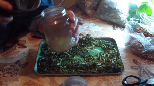 Готовим приправу Сельдерея в Домашних условиях! смотреть онлайн