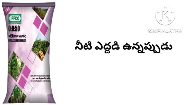 N.P.K 0:0:50 water soluble fertilizer full details in Telugu смотреть онлайн