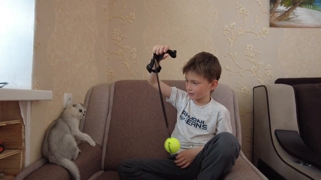 КАК БЫСТРО УЧИТЬ СТИХИ (Муха Цокотуха) смотреть онлайн